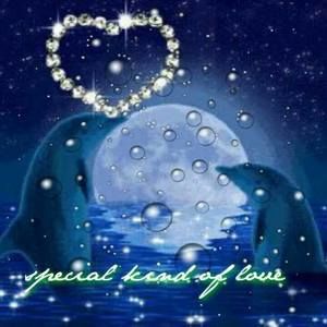 Meet your Posher, Lillian